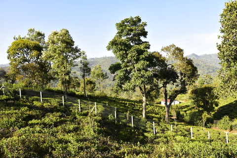 Vista Chiaro | Vitrag Group | Kotagiri, Aravenu, Coonoor