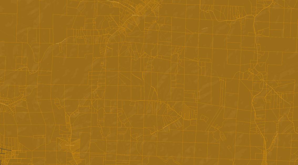 Mapping with Vector Tiles