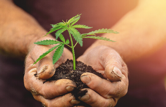 Grow Method Grow Method