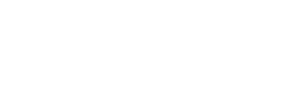 Flight Digital marketing agency Auckland