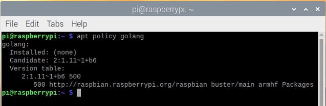 How to install Go on Raspberry Pi