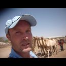 Somalia Camel Market