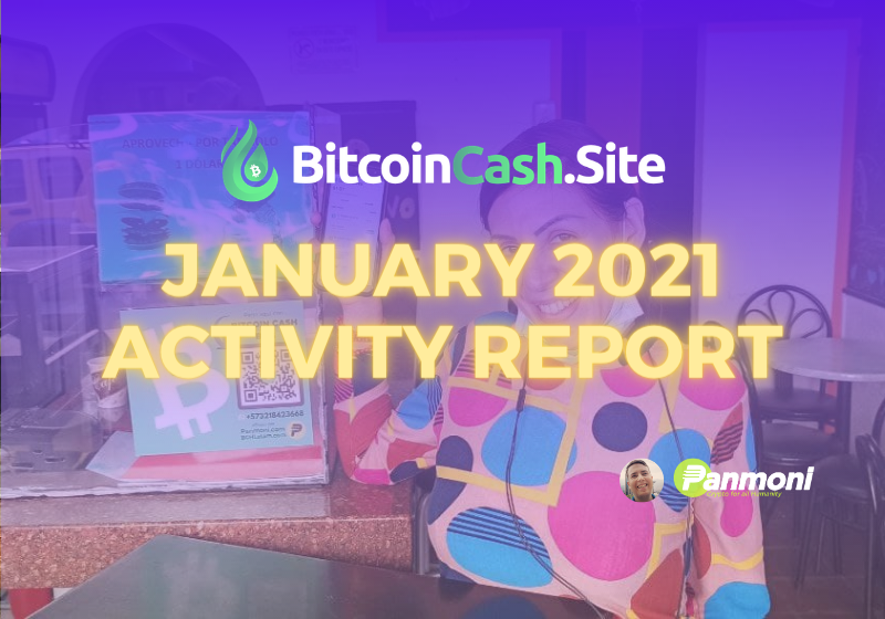 BitcoinCash.Site Jan 2021 Activity Report