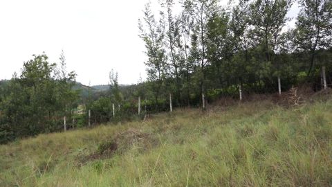 Pastures