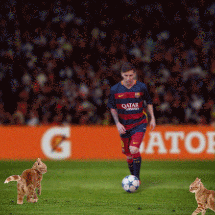 Messi and Cats