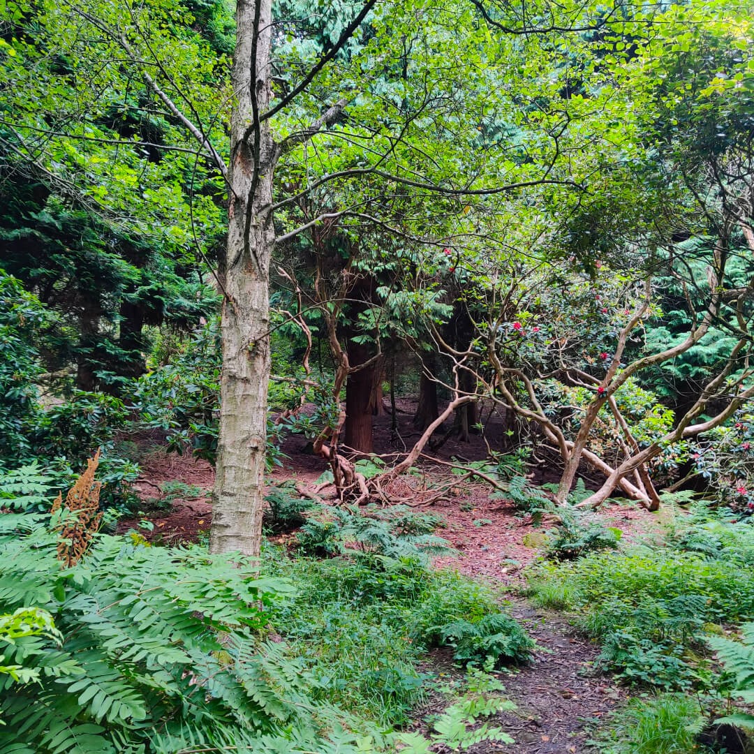 Meanwood Valley Local Nature Reserve