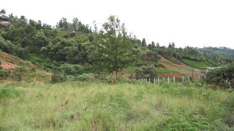 Plot 19 at Creekside for sale