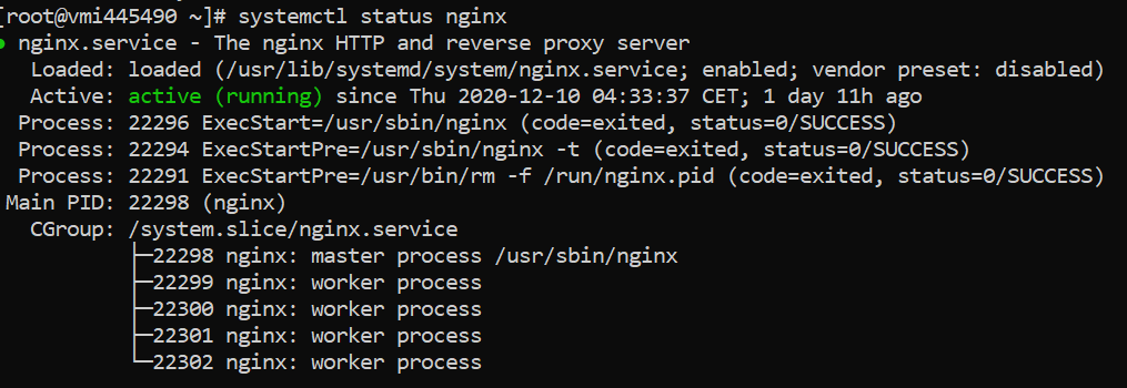 nginx status active