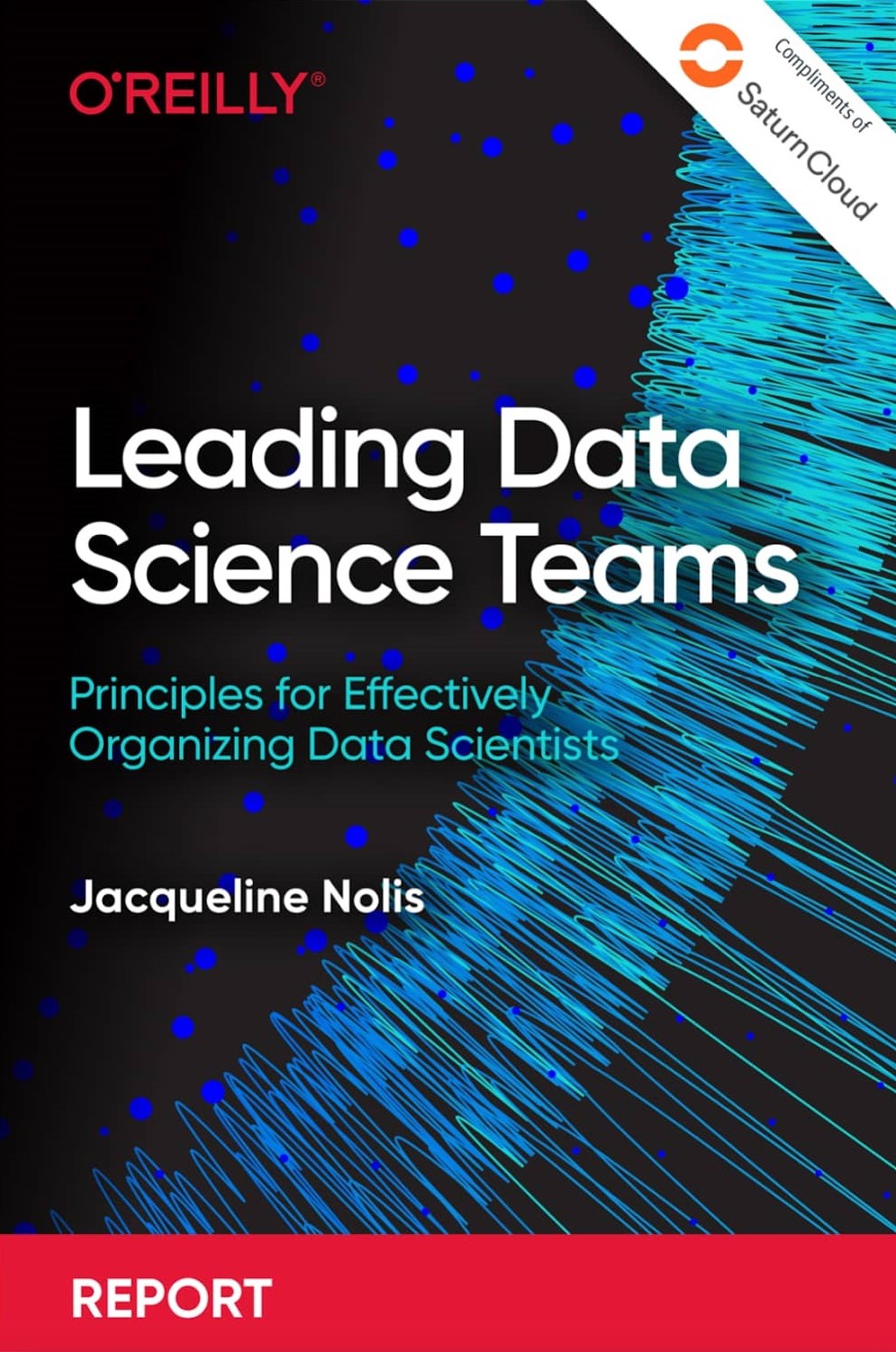 Leading Data Science Teams cover