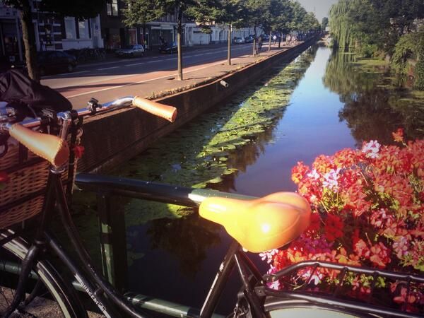 oh my god twitter doesn’t include alt text from images in their API