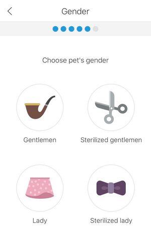 A screenshot of a mobile app on a screen for "Gender" with a prompt for "Choose pet's gender" and four options - "Gentlemen" with an icon of a pipe, "Sterilized gentlemen" with an icon of scissors, "Lady" with an icon of a pink skirt, and "Sterilized lady" with an icon of a purple bowtie