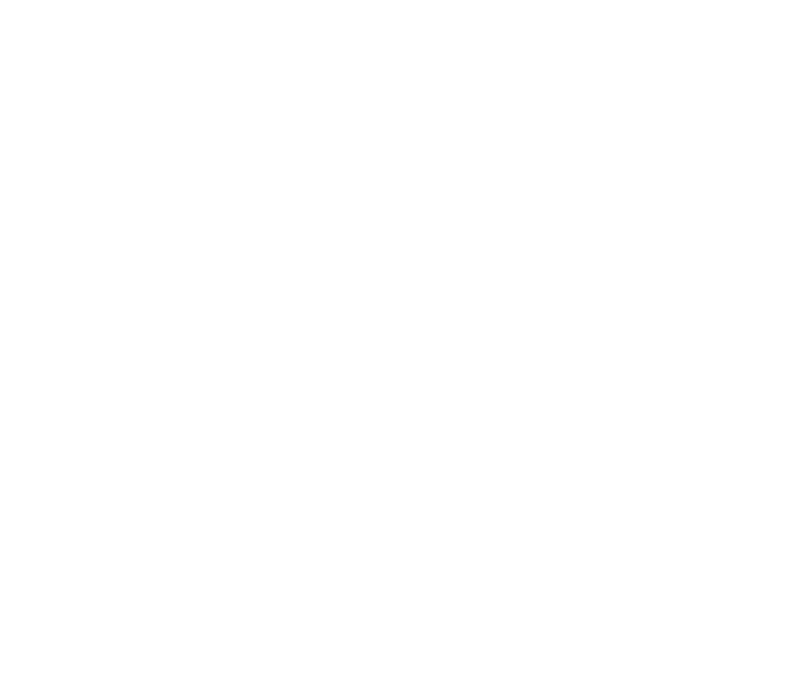 Funding Icon