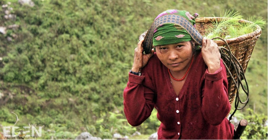 Photo: All our projects in Nepal are led by women to narrow the gender employment gap