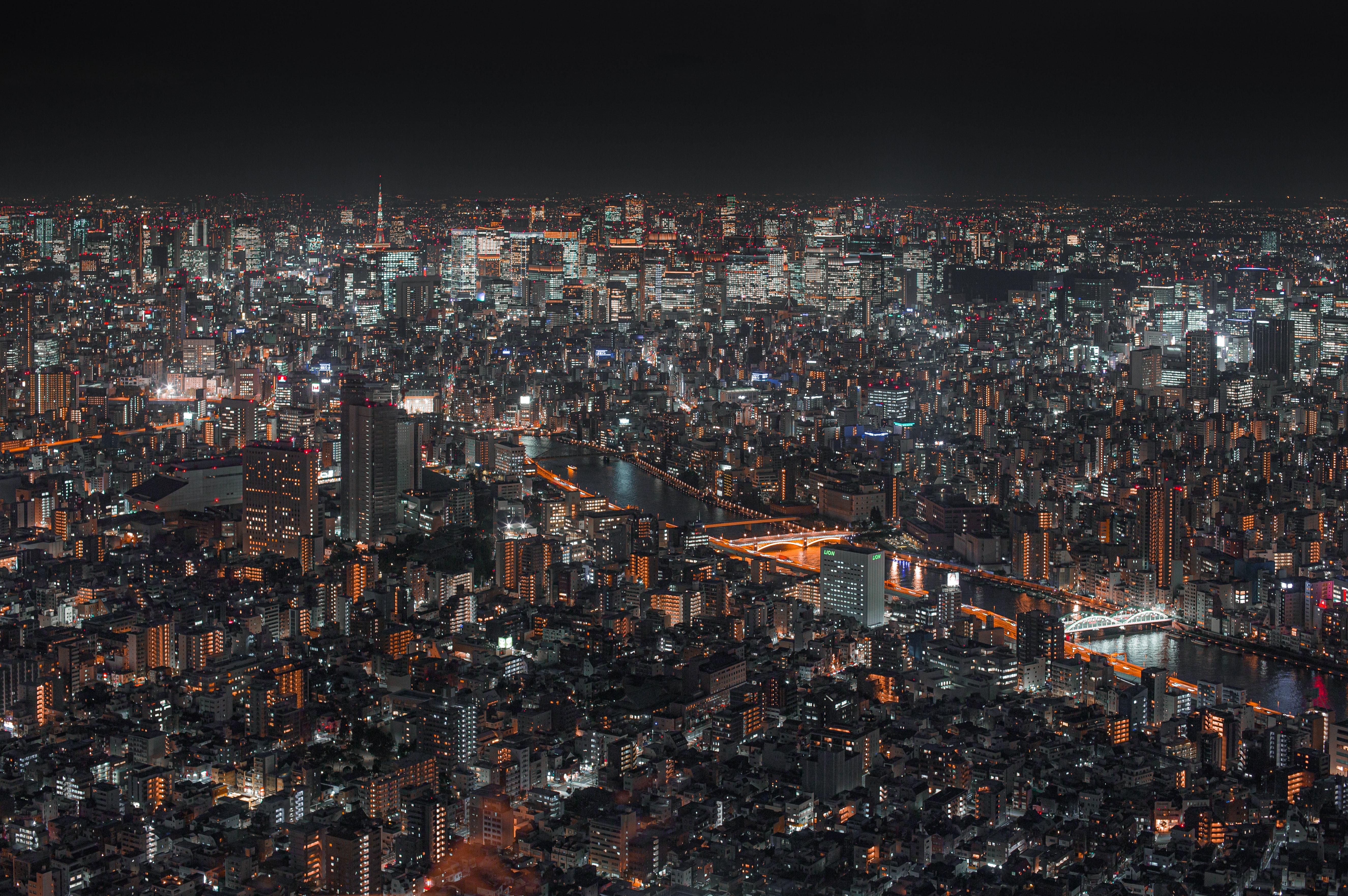 Tokyo birdseye view