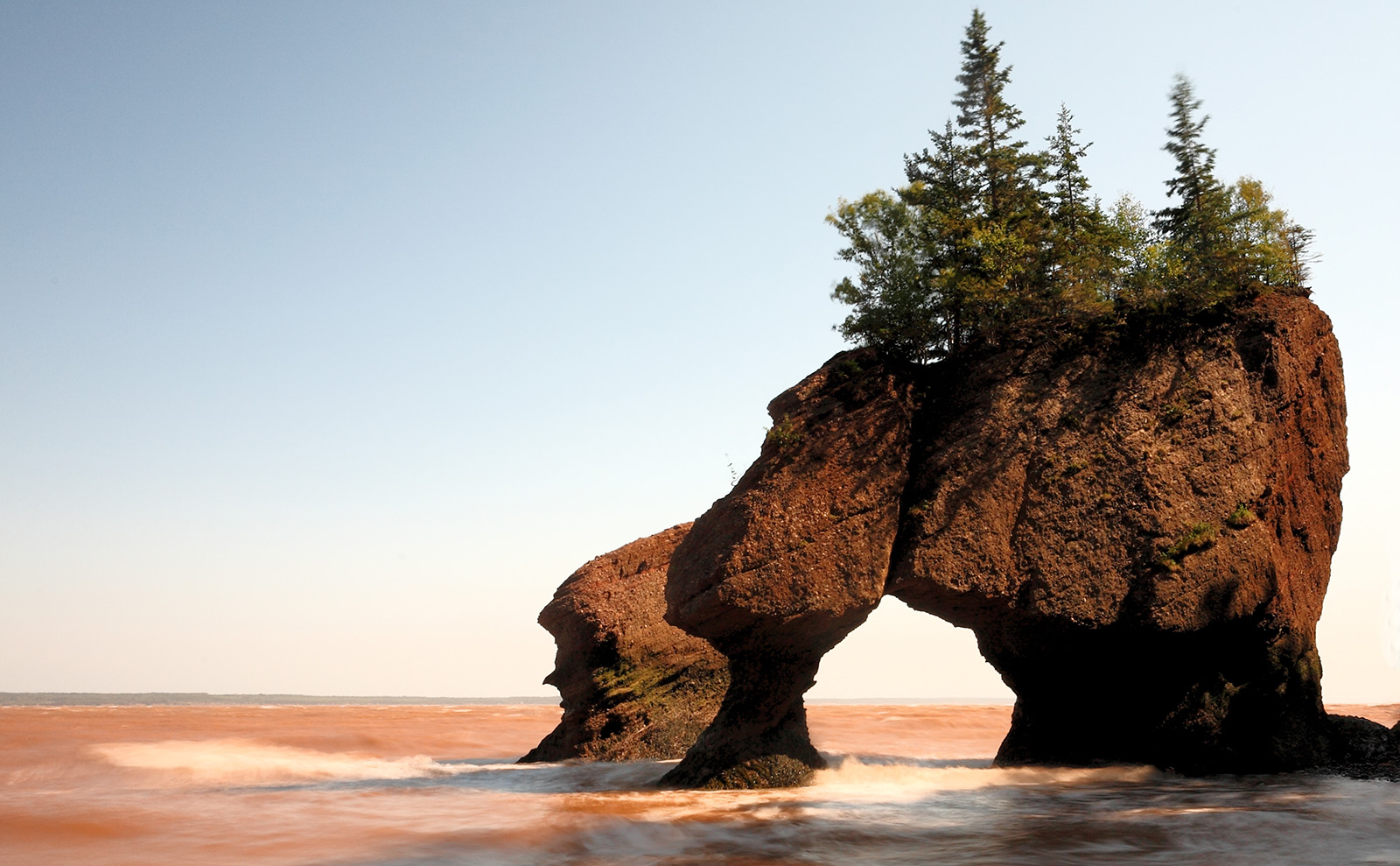 reddish-brown rock formation on the beach with pine trees growing on top
