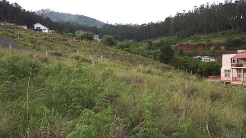 Pastures and forests beyond