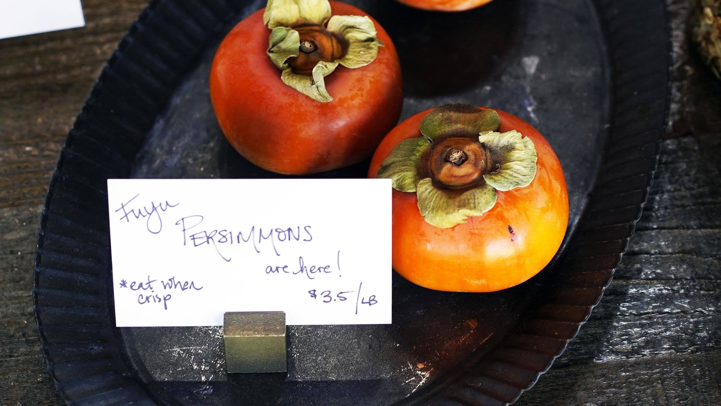 Gallery Persimmons