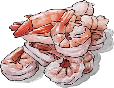 Illustration of Shrimp