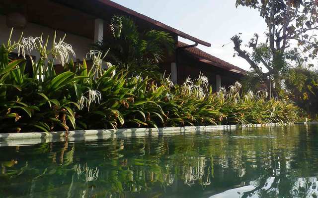 Casa Asia tropical garden disposes of a cozy pool with sunbeds