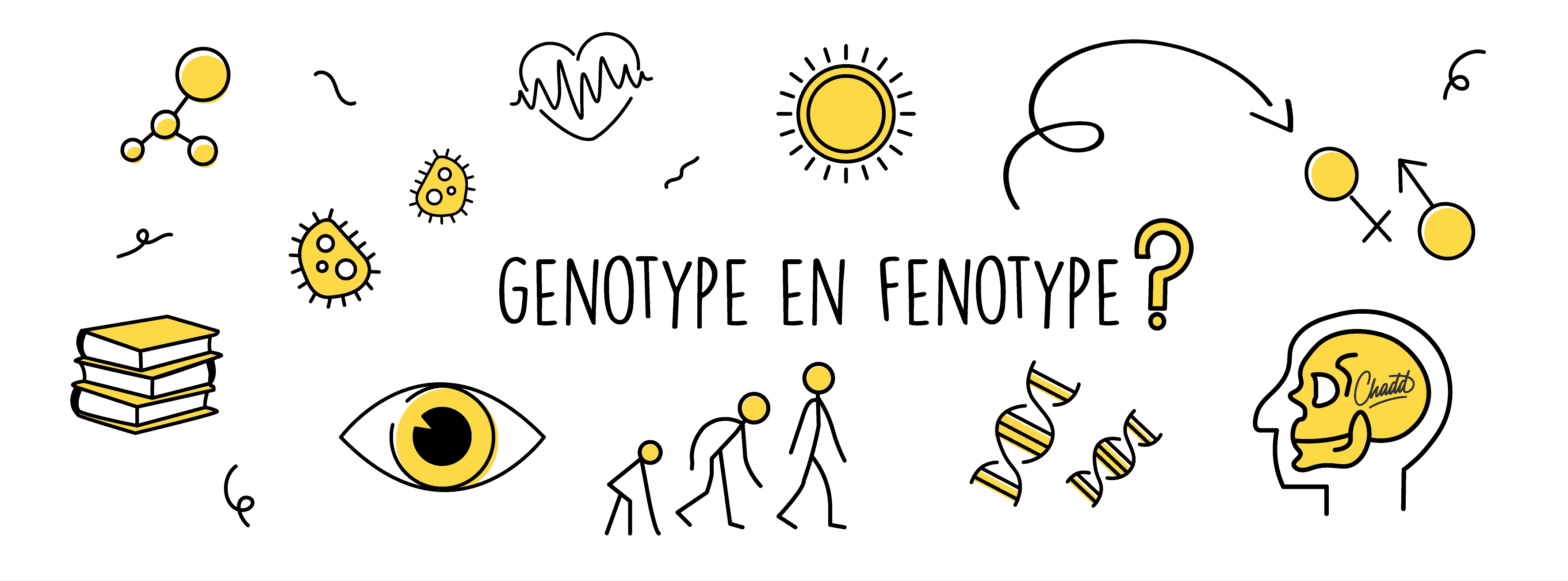 Genotype en fenotype