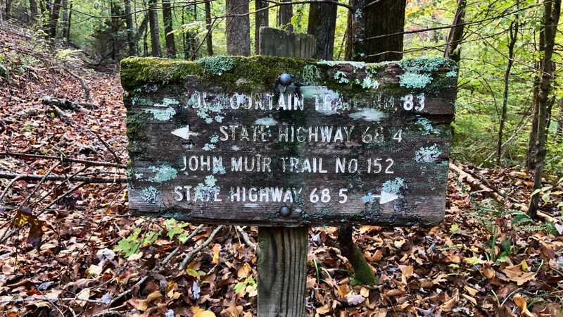 A moss-covered trail sign