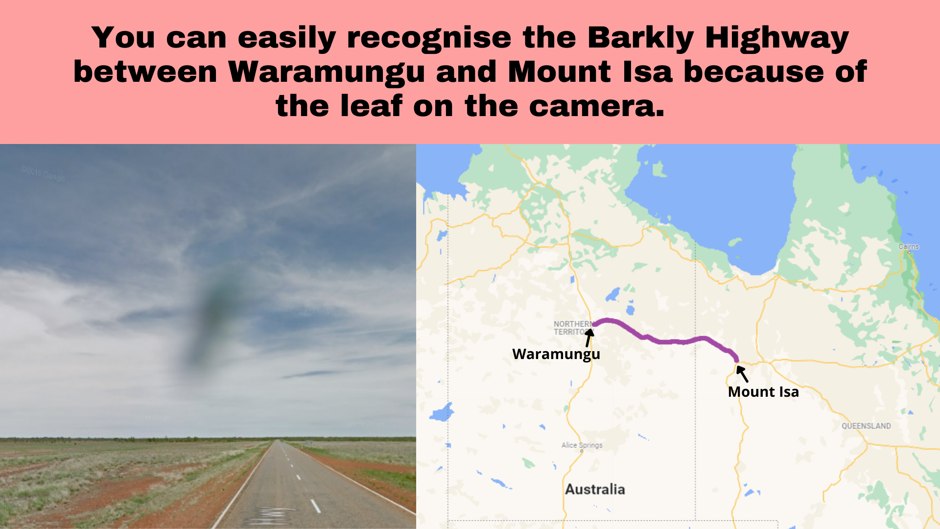 barkly leaf