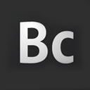 Adobe Business Catalyst