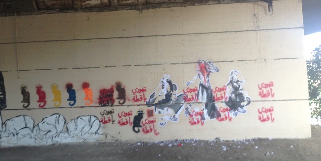 Figure 7: ‘Rebel Cat’ campaign. Photograph by Bahia Shehab (2013)