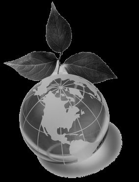 oh my god twitter doesn’t include alt text from images in their API