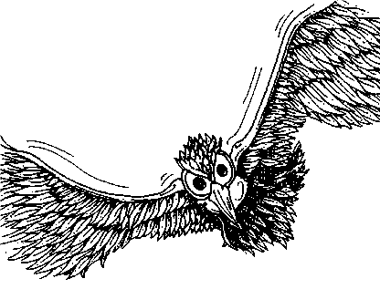 A giant bird creature.