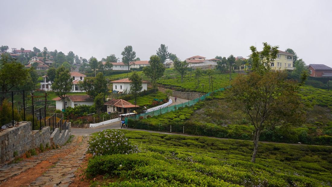 View of Sua Serenitea from a plot at Hillsview