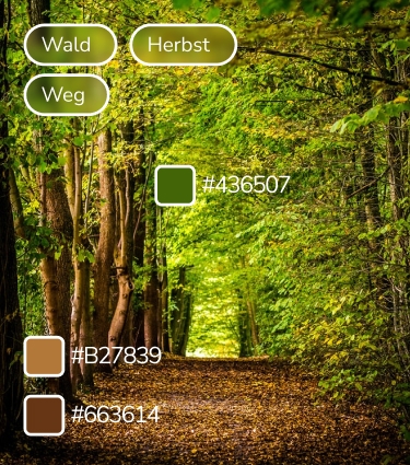 Die Abbildung zeigt die Detailansicht für die Metadaten eines digitalen Assets