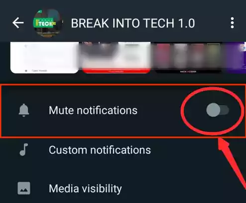 click to mute notification whatsapp
