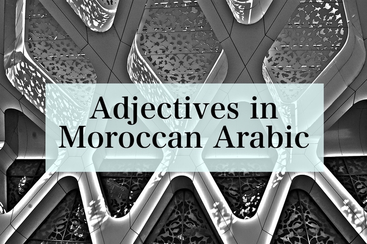 Adjectives in Moroccan Arabic