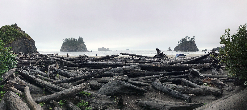 Piles of drift wood at La Push beach, with rock formations in the foggy sea