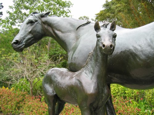 Horse Sculpture, Royal Botanic Gardens