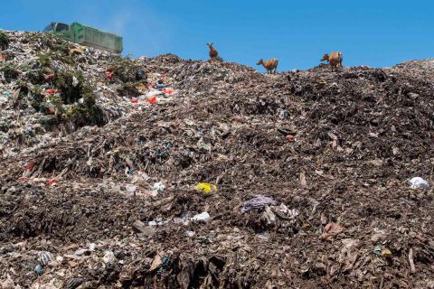 Fumes - Art, Photography, Ideas - 180903 PHOTO ANDREA CAPELLO PARADISE GARBAGE 297