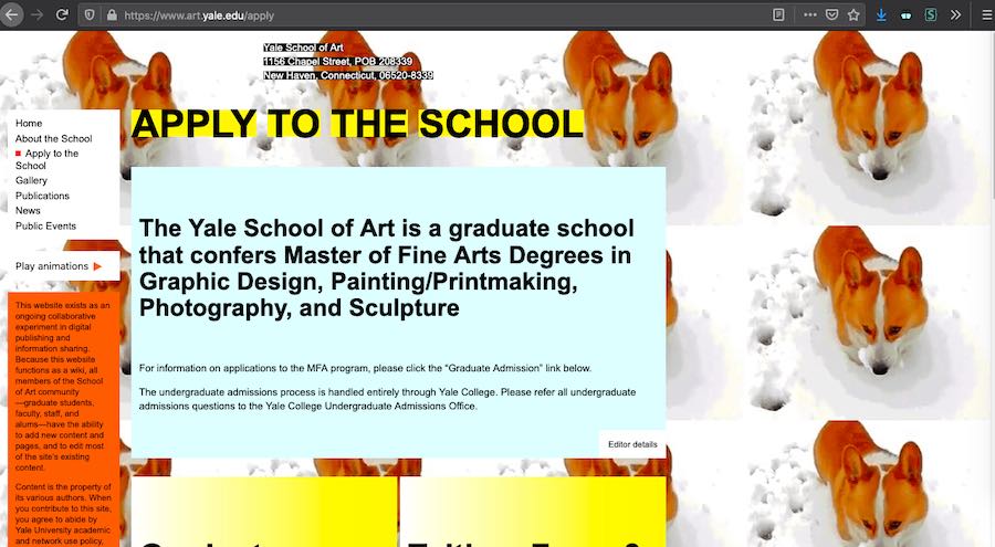 A website with a bright colours, random boxes and a repeated background image of a dog