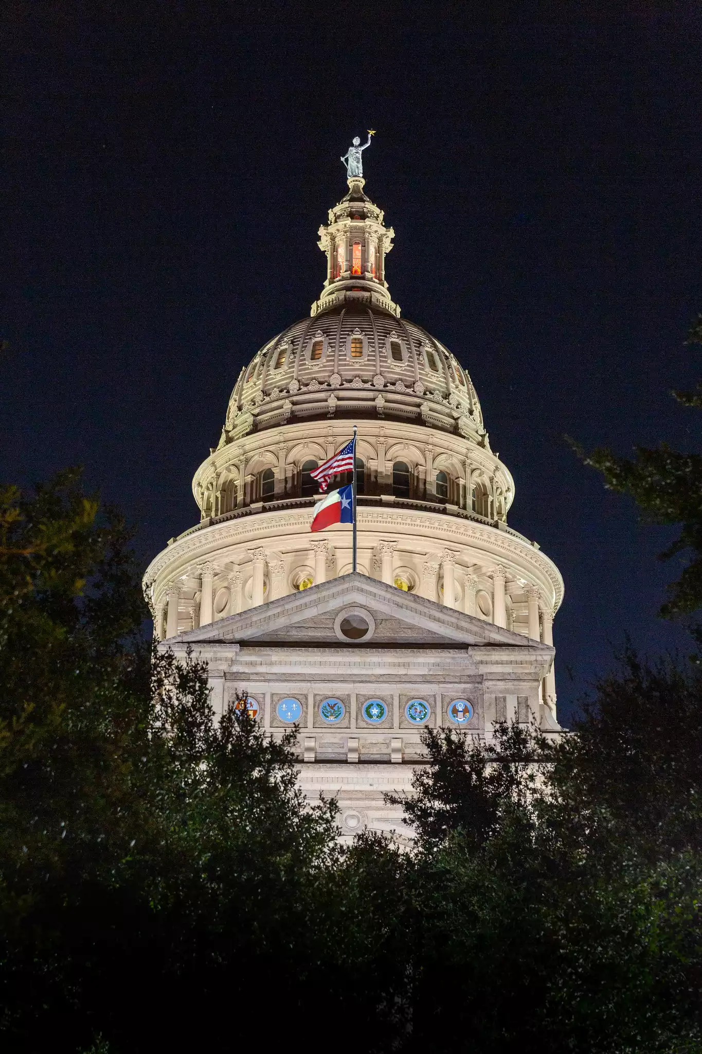 Texas State Captiol at Night #2