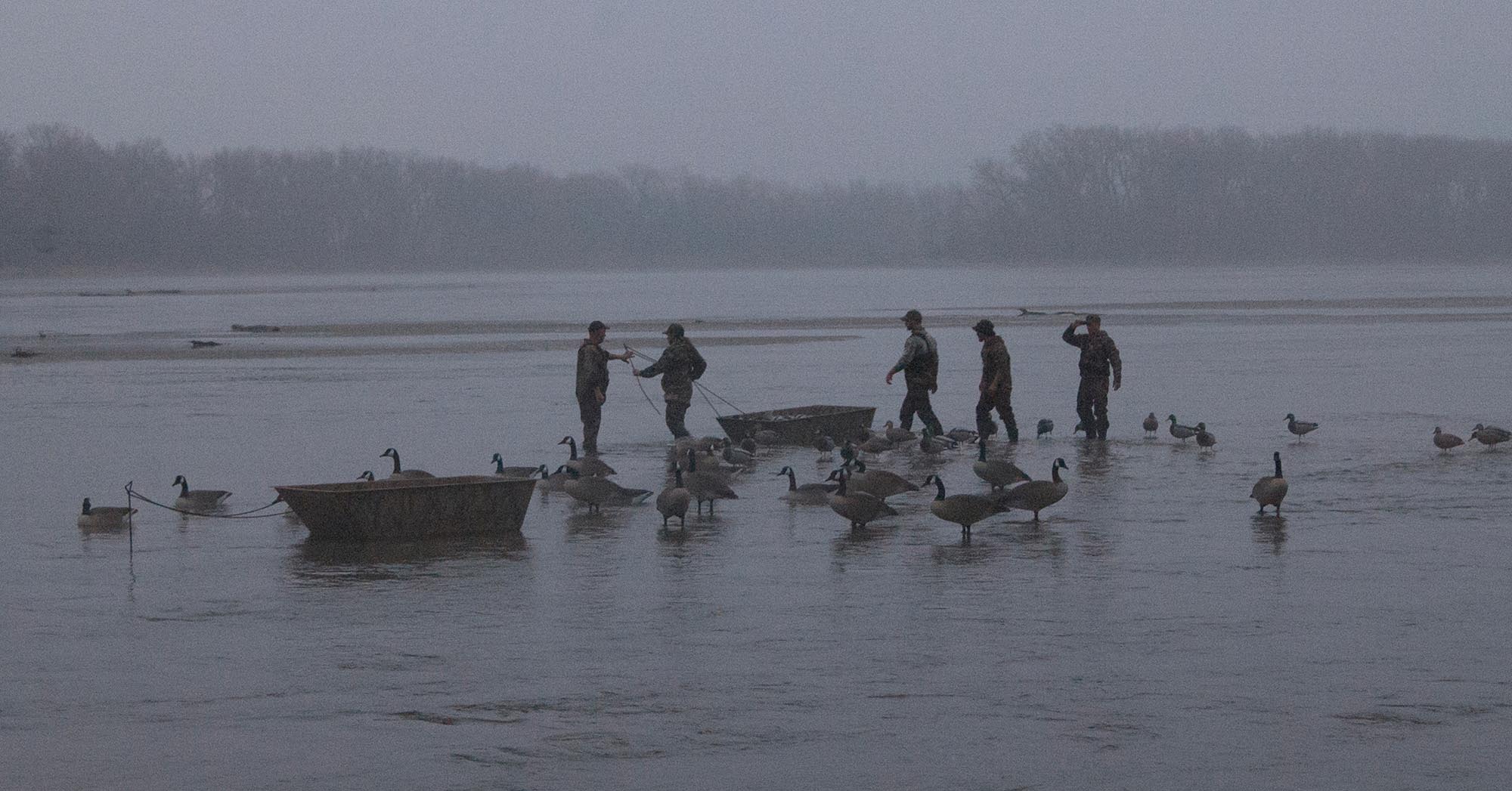Canadian Goose Decoys on Nebraska's Platte River