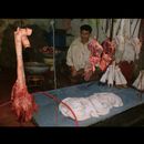 Peshawar butchers 9