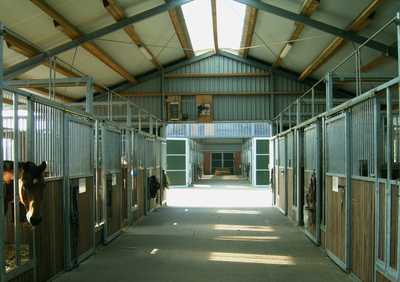 Reitanlage - Beggendorfer Hof | Beggendorfer Hof