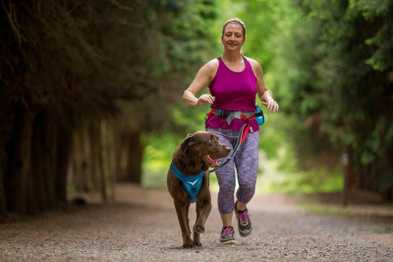 The Dog Race Database: Fitness and Fun Together