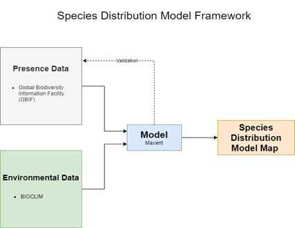 The Process Of Developing Species Distribution Modeling Using Maxent Blog