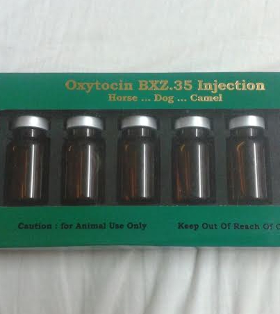 Pet Health Exams in austin