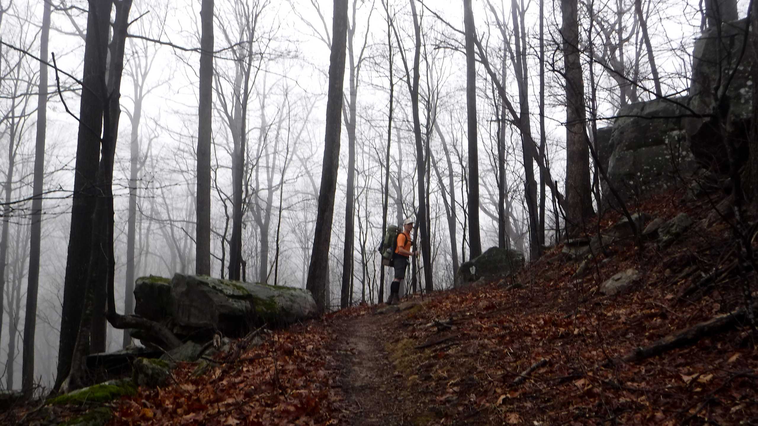 Frozen Head State Park North Bird Mountain Trail Hike with Gravity