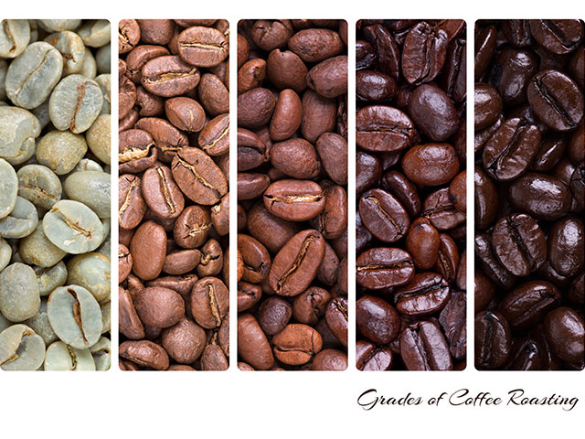 A comparison of 5 different shades of roasted coffee beans from light to dark going from left to right