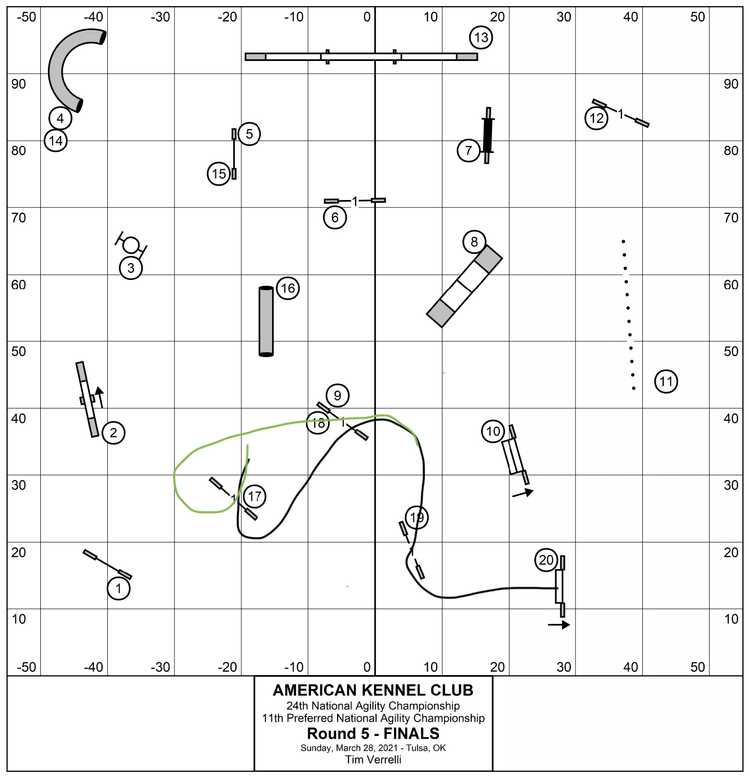 Handling the 2021 AKC NAC Finals Closing Sequence AgilityNerd