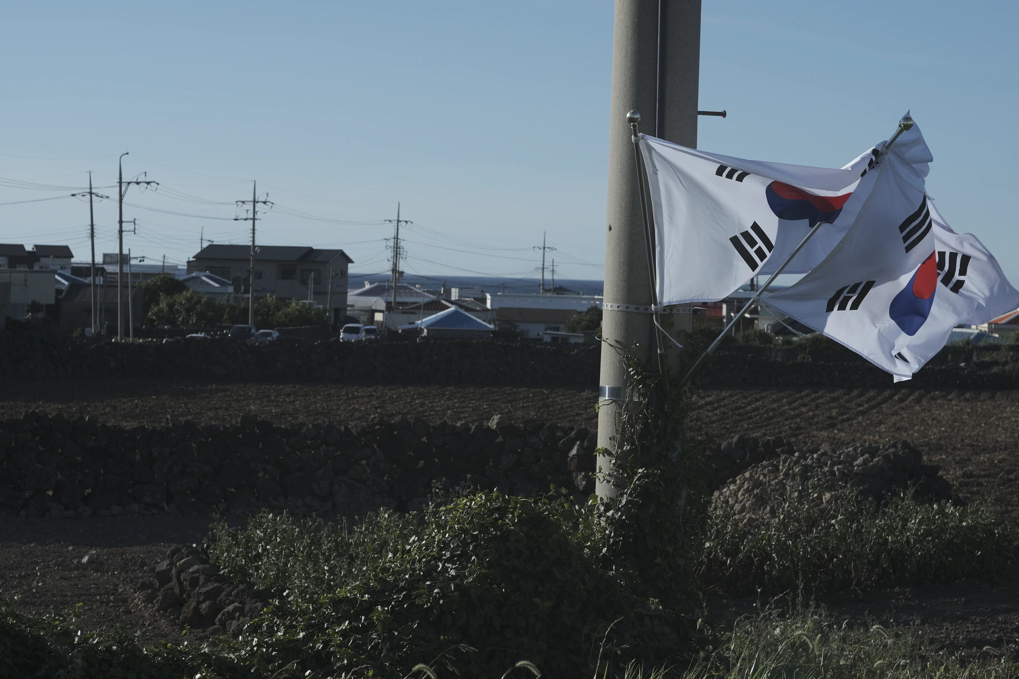 Flags of Korea hanging at the road in Jeju -- to celebrate Korea's anniversary of regaining its freedom.