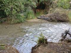 River crossing - wet feet